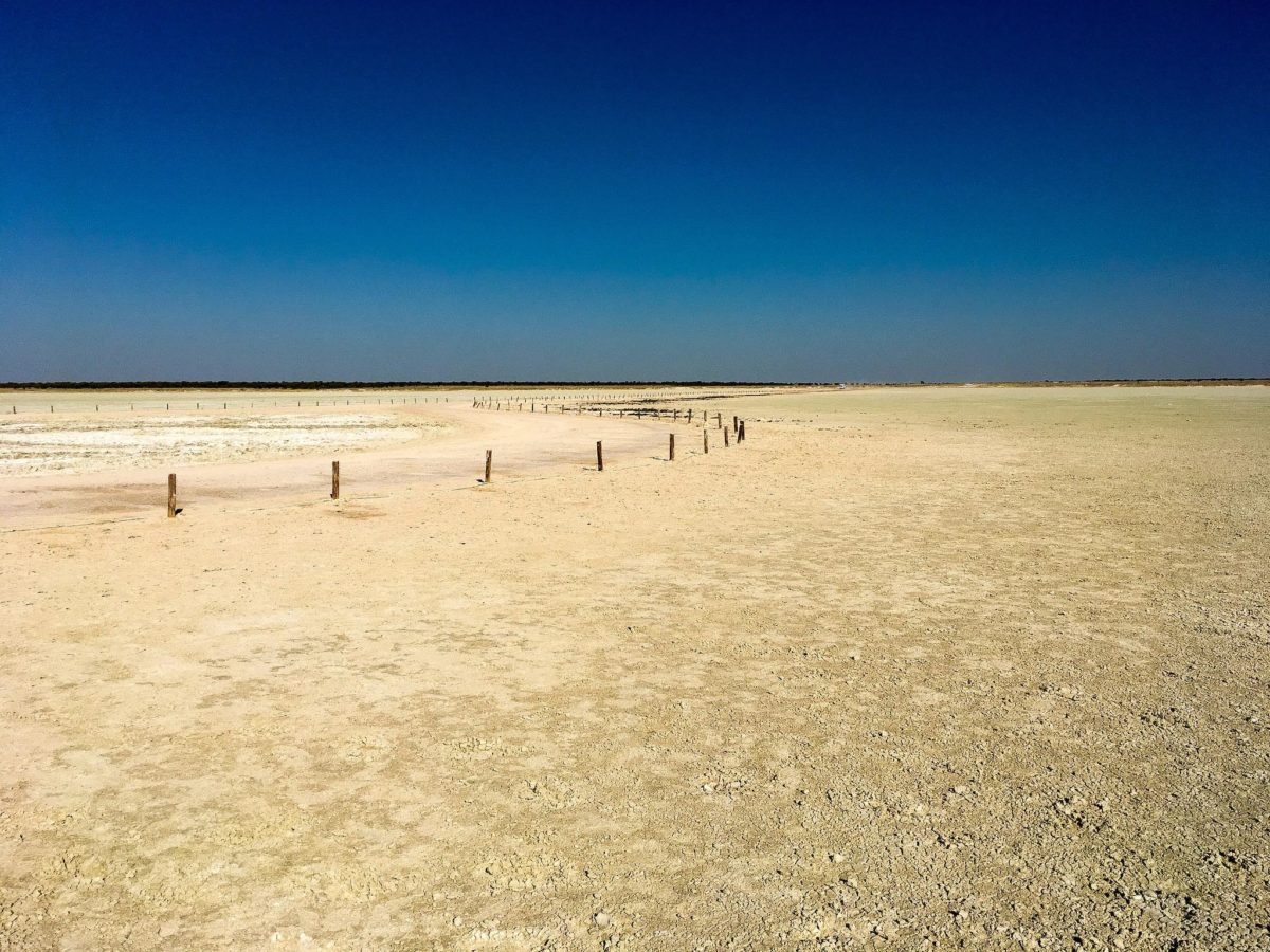etosha