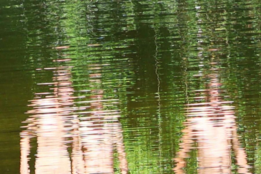 France-Sauvage-©-Anne-Careil